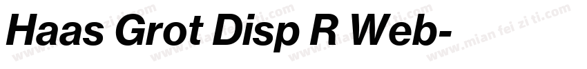 Haas Grot Disp R Web字体转换